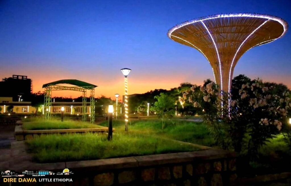 Dr Ali Birra Park