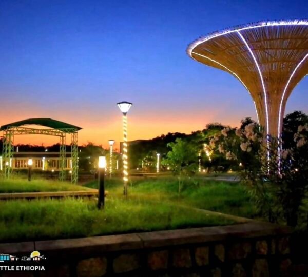 Dr Ali Birra Park
