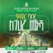 Great Night Run