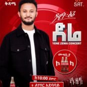 Dire Yene Zema Concert